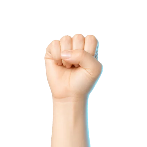 Closed left hand fist for no command